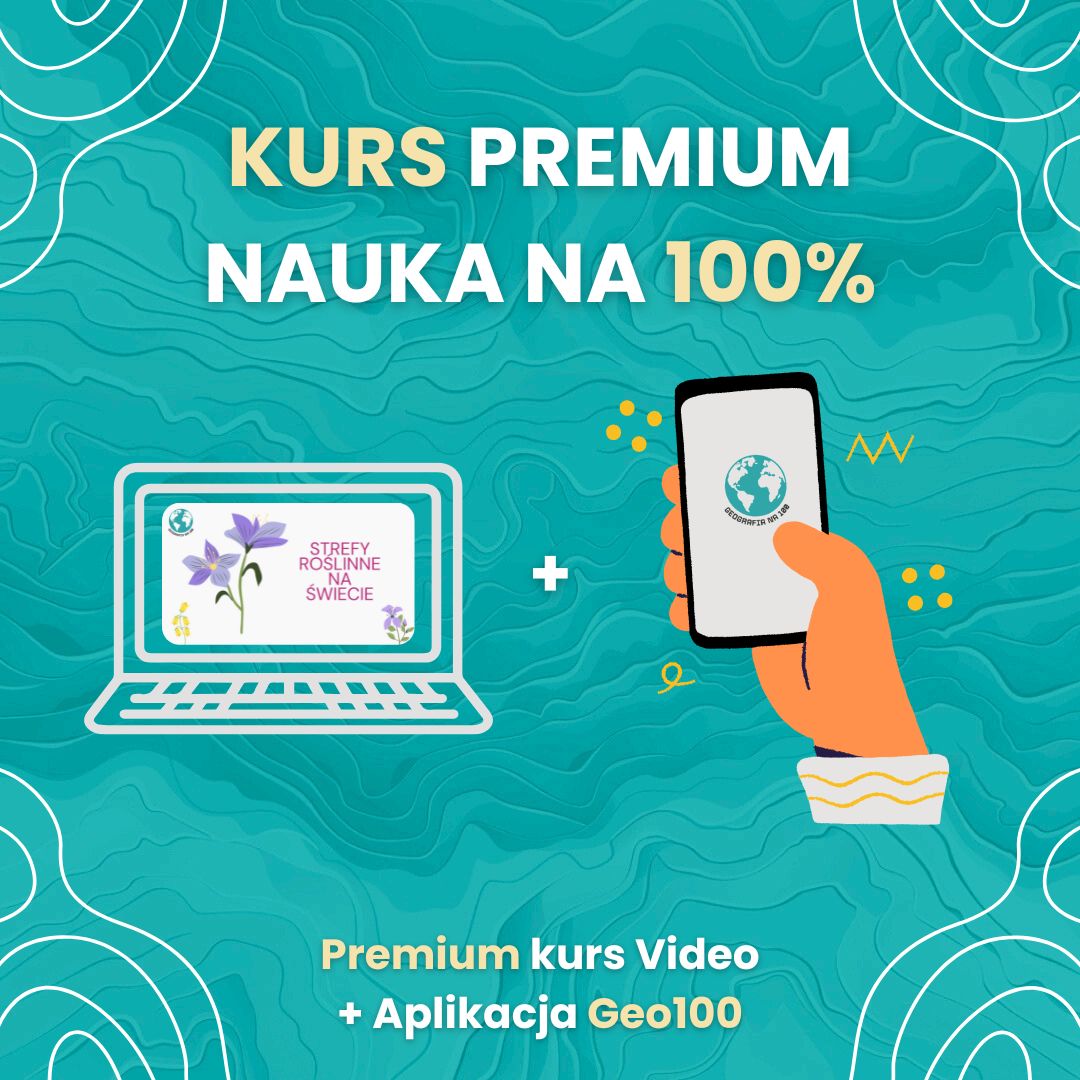 Lekcje Video